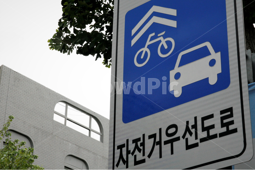 교통,표지,표지판,자전거우선도로,우선도로,교통,교통수단,traffic,transportation