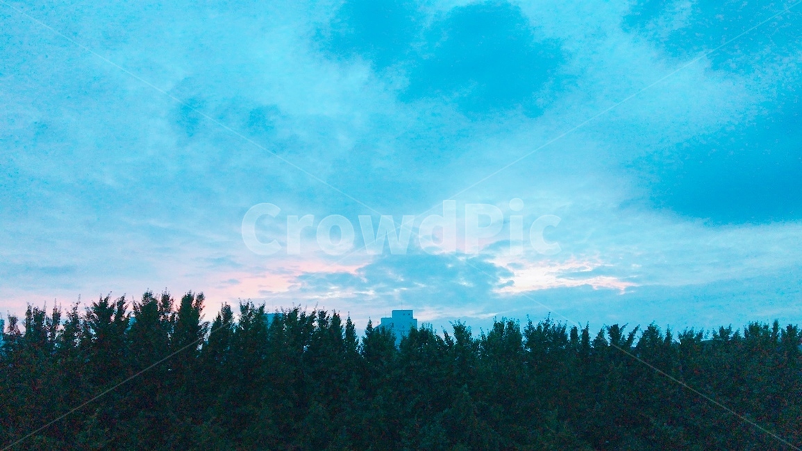 하늘,파랑,구름,몽환,풍경