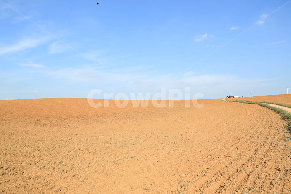 봄,땅,기운,해동,밭,시골,마을,풍경,landscape,country,rural,town