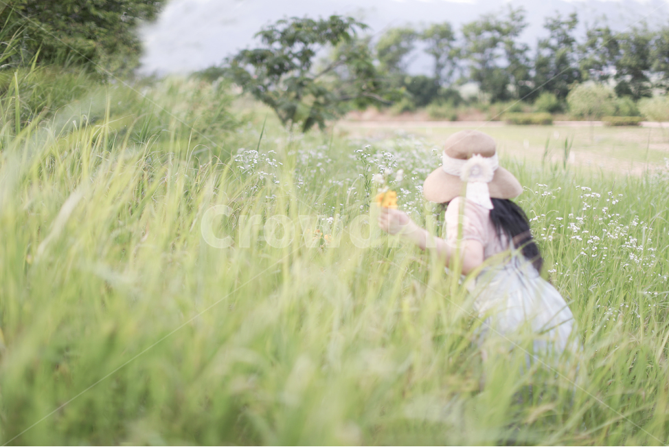 정원,field,들,풀밭,꽃밭,공원