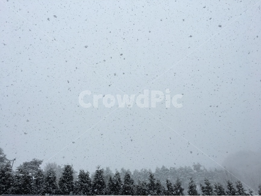 sky,snowfall,snowyday,heavy snow,winter,scenery,snowy day,mountain,snow,snowcovered mountain,snowy
