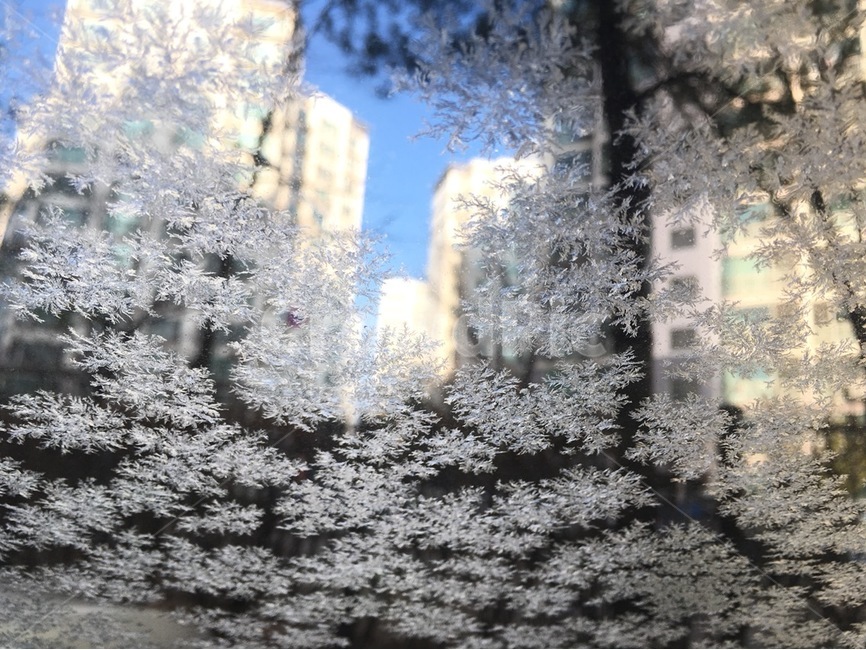 한파,겨울,유리,서리,추위,겨울,계절,winter,season