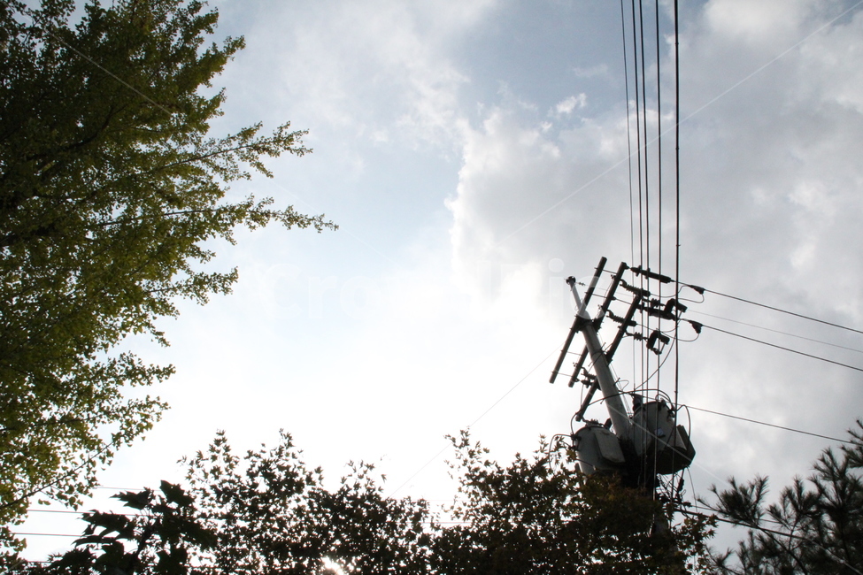 송전탑,케이블,cable,전력선,powerlines,빛,하늘,나무,전선,전기,전기줄,줄,구름,나들이,여행