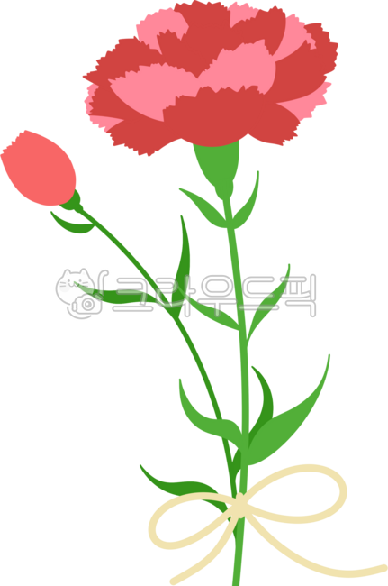 꽃,꽃다발,리본,빨강,초록,5월,가정의달,스승의날,어버이날,감사,카네이션