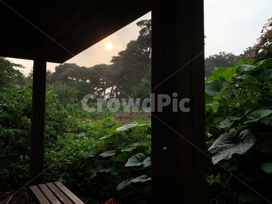 비온후,촉촉,감성,노을,sunset,감성사진,석양,저녁하늘,자연,nature,풍경,배경