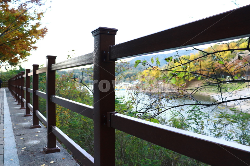 공원,길,단풍,가을,펜스,가을,계절,fall,autumn,season,handrail,난간,banister,railing