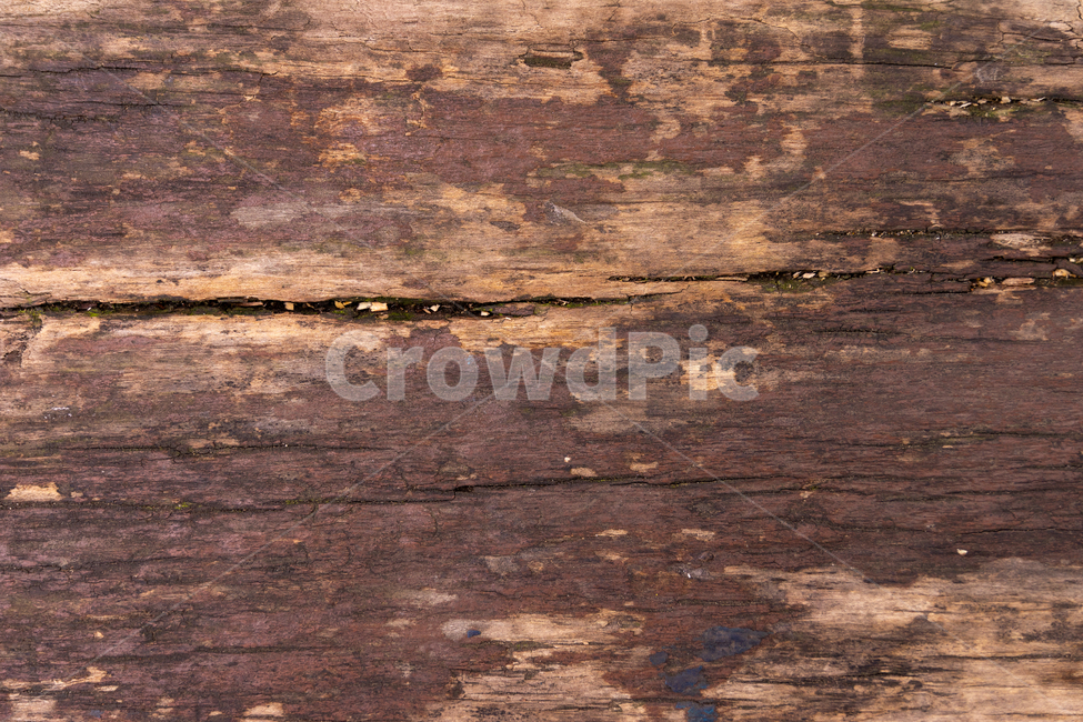 wood,테이블탑,tabletop,furniture,가구,hardwood,견목,rug,깔개,텍스쳐,백그라운드,무늬,단면,패턴,배경,배경이미지,질감,빈티지,추상,재질,건축자재,인테리어,건물,외관장식,데코레이션,벽,외벽,마감,재마감,나무,목재,나무재질의,올드,목재의균열,나무테,나무결,텍스처,질감,패턴,texture,pattern