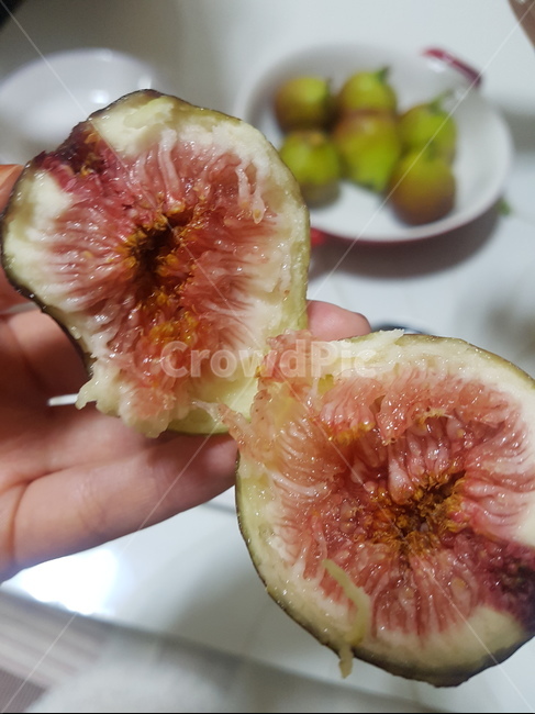 무화과,과일,손,열매,꿀,음식,식재료,요리,food,cook,meal,dishes,food reserves,과일,열매,fruit