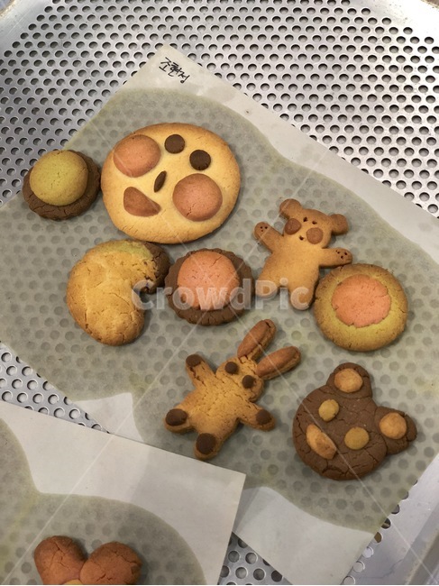 food,식품,biscuit,비스킷,cookie,쿠키,dessert,handmade,수제,아이,동물