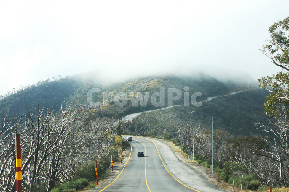 road,도로,highway,freeway,고속도로,아스팔트,호주,로드트립,안개,camping,australia,자연,풍경,nature,landscape,고속 도로,asphalt