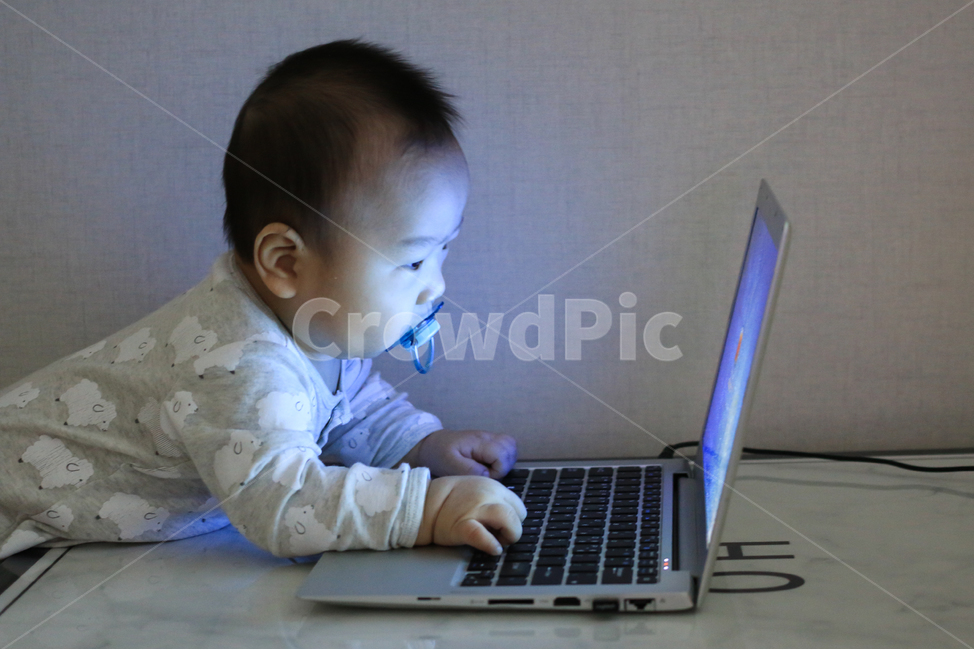 아기,애기,컴퓨터,노트북,집중,업무,야근,워라밸,타이핑,랩탑,유아,영아,귀여운,자판,타자,남자아이,남자아기,일,아들,작업,모니터,키보드,작은,어린,아가,인터넷,얼리어답터,사무직,아동,아동노동,사람,인물,인간,human,person,영유아,아기,애기,아이,infants,baby,정보통신기술,전자기기,전자제품,it,information,technology,electronic equipment