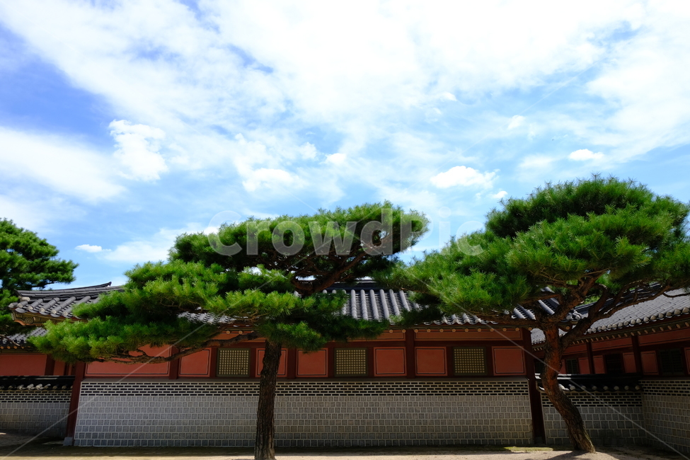한옥,경복궁,전통가옥,건물,한국적,빌딩,기와,기왓장,처마,태극,토속,국내,한국전통,한국문화,korean traditional,korean culture,랜드마크,landmark,tourist attraction,한국랜드마크,한국관광지,한국명소,korea landmark,korea tourist attraction,건축물,건물외관,exterior,building,structure,architecture,construction