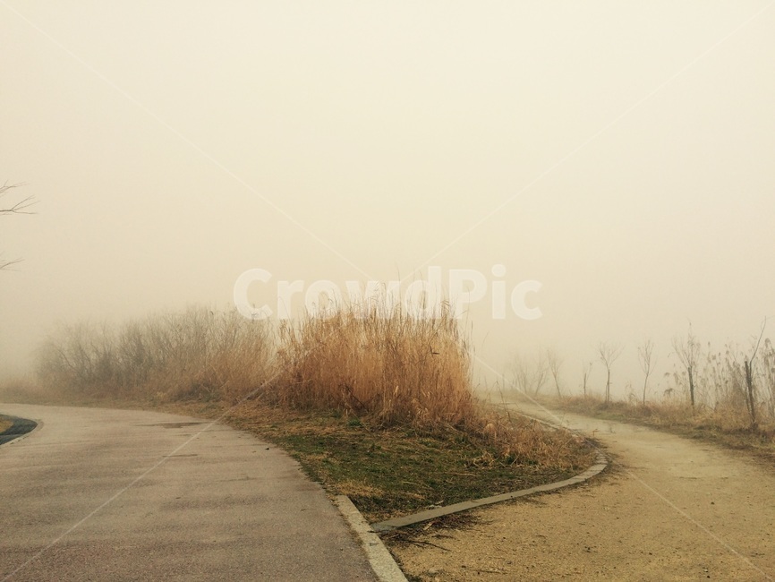 하늘,갈대,가을,감성사진,강,물,안개,자연,풍경,nature,landscape,weather,날씨,fog