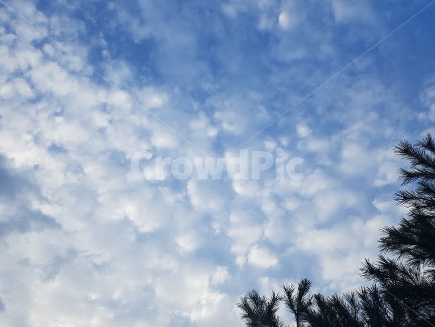 하늘,구름,sky,파란색,cloud,skyblue