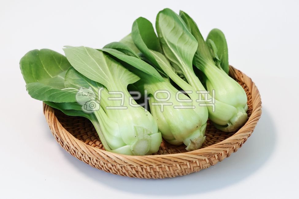 청경채,식재료,야채,채소,pakchoi,bokchoy,food,vegetable,음식,농산물,요리재료