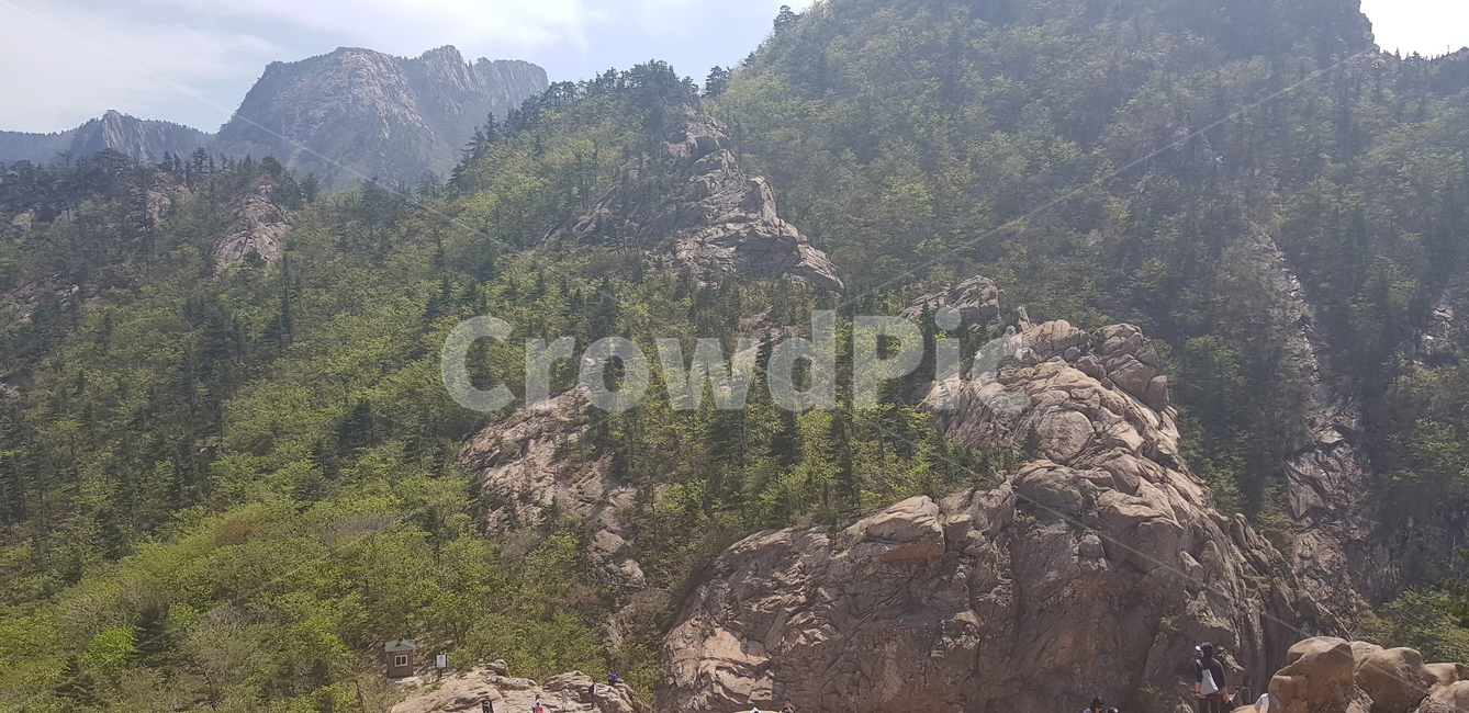 자연,낭떠러지,산,나무,바위산,배경화면,nature,cliff,mountain,tree