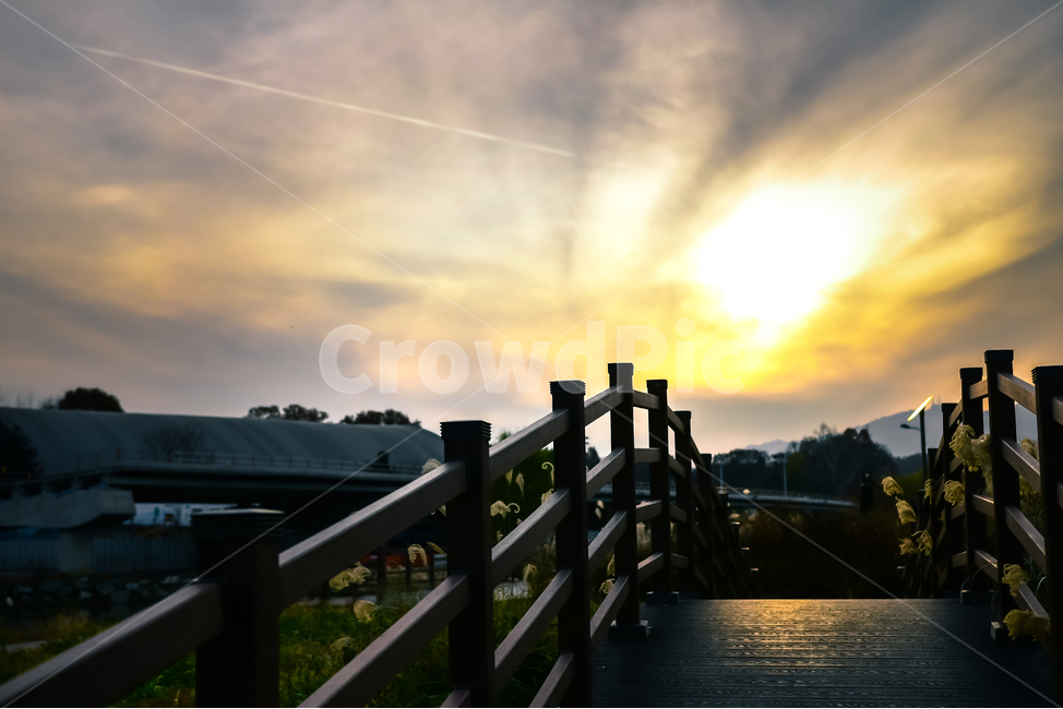 tree,나무,plant,식물,maple,단풍,낙엽,길,빛,가을,leaf,잎,빨강,노랑,sunset,해질무렵,다리,역광,railing,난간,handrail,banister