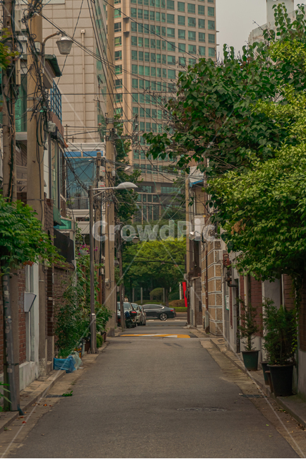 도심,골목길,집,도로,길,초록색,식물,풀,나무,도시,풍경,city,landscape,한국도시풍경,한국도시경관,korea cityscape,골목길,alley,urban,어반,street,거리,building,건물,시티,town,road,home decor,가정 장식