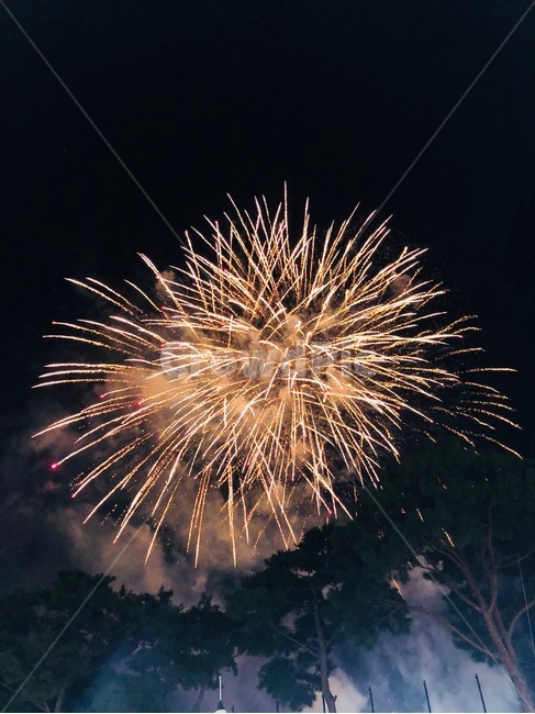 폭죽,밤하늘,축제,하늘,불꽃,불꽃놀이,야경,밤,풍경,nightscape,night,landscape,축제,행사,festival,carnival,event,nature,자연,outdoors,옥외