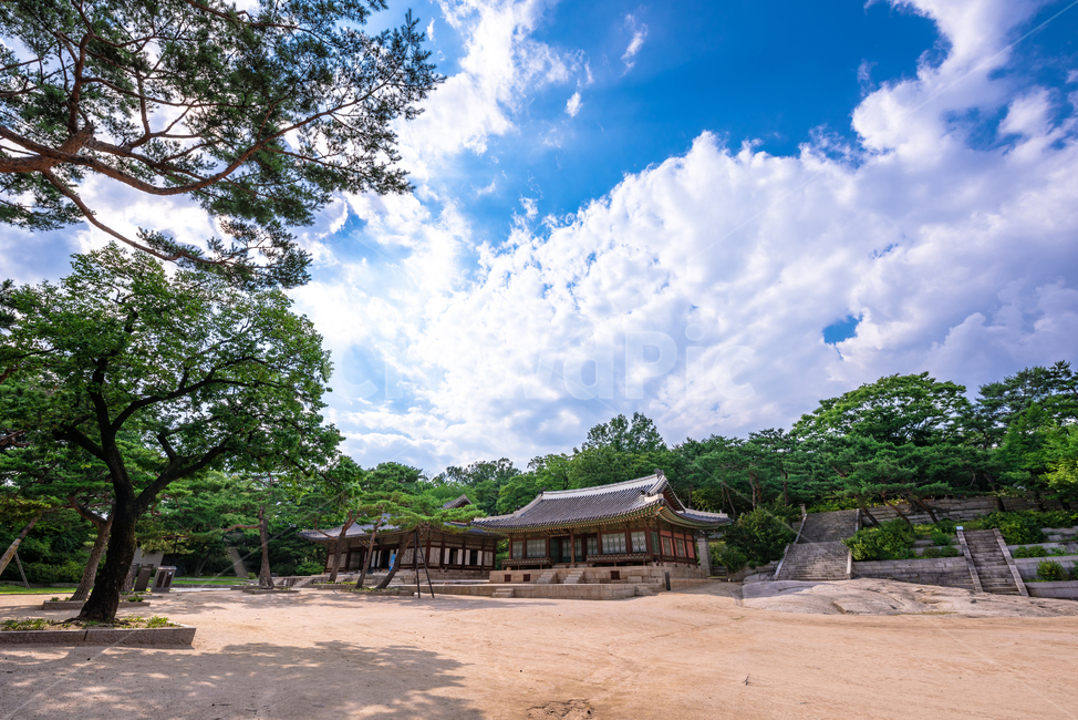 창경궁,궁전,전통,조선시대,건물,한국전통,한국문화,korean traditional,korean culture,건축물,건물외관,exterior,building,structure,architecture,construction