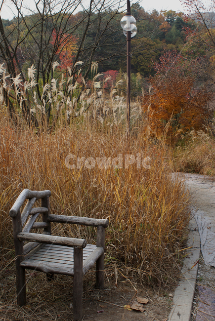 가을,풍경,의자,갈대,fall,가을,계절,fall,autumn,season,자연,풍경,nature,landscape,chair,furniture,가구