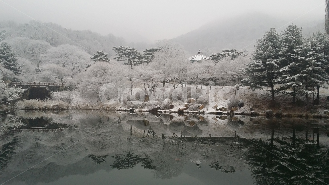 호수,겨울,눈,겨울호수,겨울나무