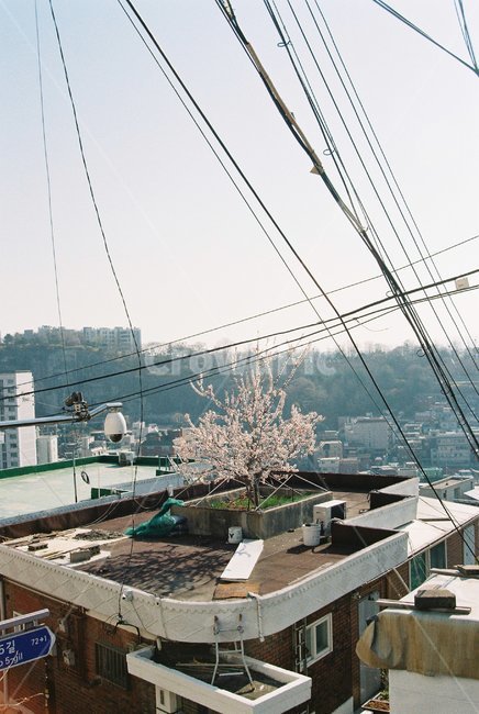 창신동,창신동풍경,서울모습,서울,낙산,주택,옛날주택,일상