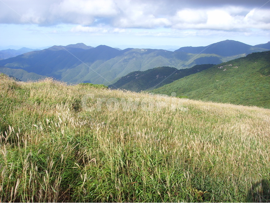 산,가을,가을산,영남알프스,갈대,신불산,영축산,가지산,구름,파란하늘,청명한하늘,자연,풍경,nature,landscape,한국자연풍경,한국자연경관,korea nature landscape,plant,식물,grass,잔디,outdoors,옥외