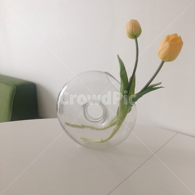 노란튤립,유리화병,튤립화병,홈스타일링,도넛화병,튤립