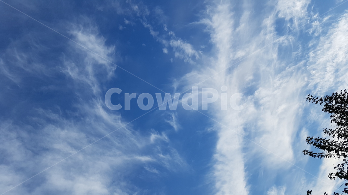 하늘,구름,풍경,자연,자유,겨울,자연,풍경,nature,landscape,outdoors,옥외,sky,azure sky,푸른 하늘
