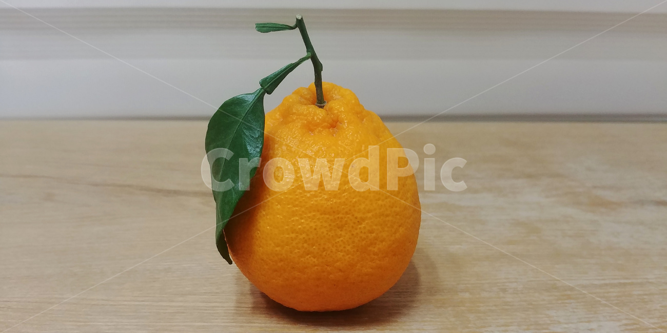 한라봉,제주도,과일,감귤,과실,음식,식재료,요리,food,cook,meal,dishes,food reserves,과일,열매,fruit