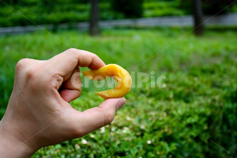 고구마말랭이,컨셉,말랭이,food,cook,meal,dishes,음식,식재료,사람,인물,인간,human,person,신체일부,몸,body,음식,식재료,요리,food,cook,meal,dishes,food reserves