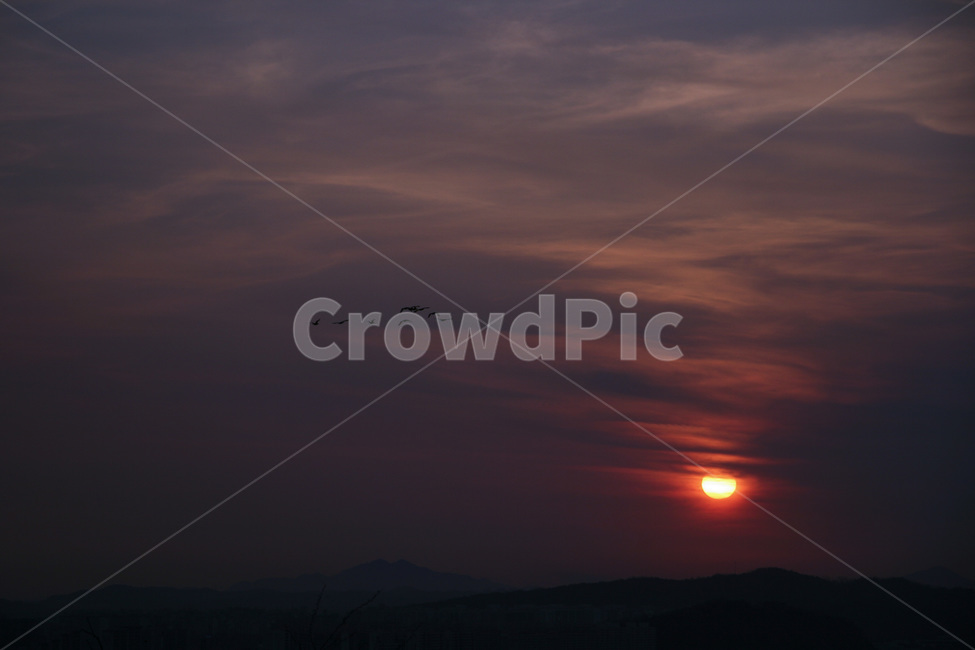노을,새,편대비행,비행,자유,감성,자연,풍경,nature,landscape,outdoors,옥외,sky,하늘,sunset,일몰,dusk,황혼,dawn,새벽,red sky,붉은 하늘