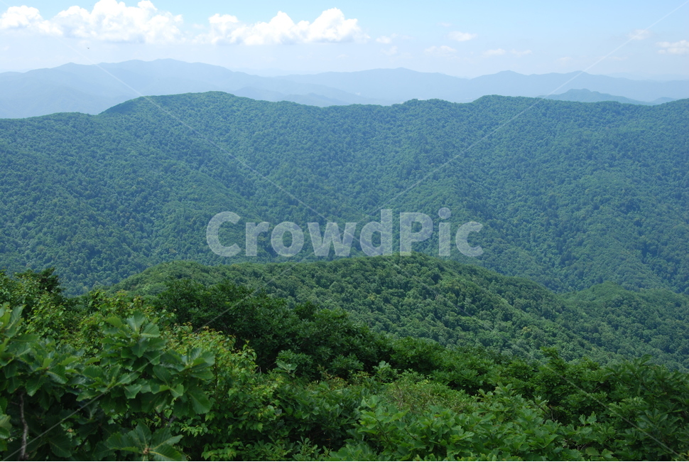 summer,hikingtrail,cloud,tree,하늘,자연,풍경,nature,landscape,outdoors,옥외,hill,언덕