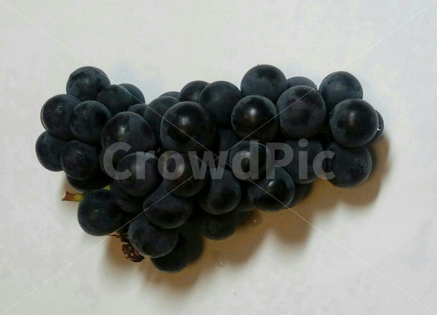 포도,보라색,맛있는,포도송이,Grape,음식,식재료,요리,food,cook,meal,dishes,food reserves,과일,열매,fruit