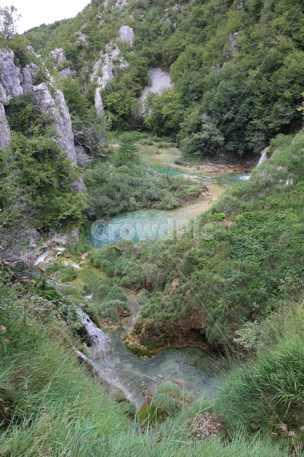 크로아티아,크로아시아,플리트비체,croatia,plitvice,plitvica,국립공원,공원,폭포,숲,요정숲,연못,강,호수,나무,여름,유럽,waterfall,pond,lake,park,tree,forest,자연,풍경,nature,landscape