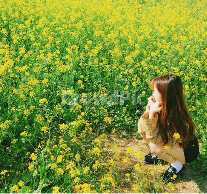 꽃,핑크,노랑,하늘,봄,봄,계절,spring,season,식물,자연,plants,nature,꽃,flower,사람,인물,인간,human,person,여성,여자,woman,female,lady,휴식,힐링,rest,relaxation,healing,field,들,grassland,목초지,outdoors,옥외