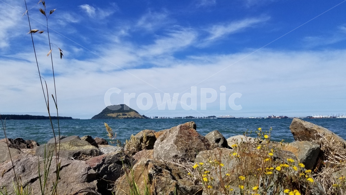 타우랑가,뉴질랜드,마운트망가누이,themount,tauranga,newzealand,바다,자연,sea,ocean,해안선,물