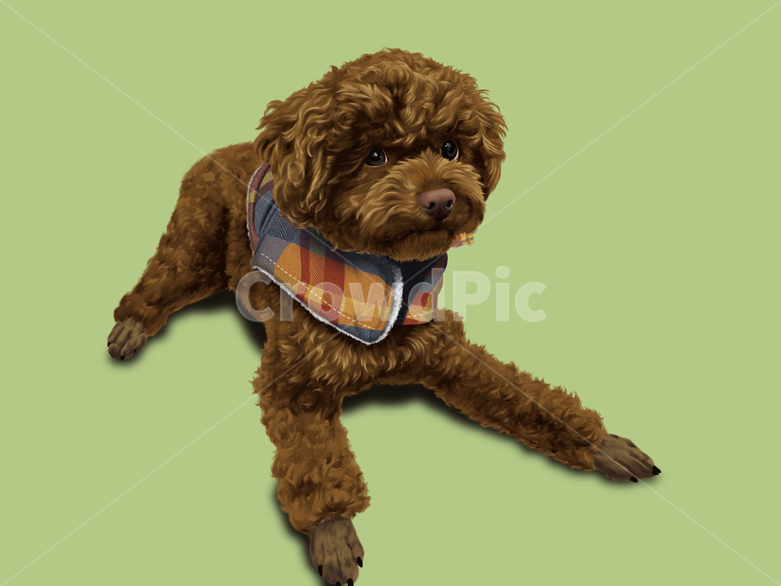 puppy,puppy illustration,pet dog,cute,pet