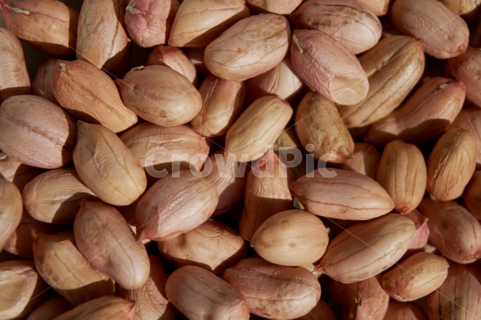 땅콩,콩,견과,nut,peanut,음식,견과류,간식,주전부리,안주,맛,맛있는,고소한,영양,음식,식재료,요리,food,cook,meal,dishes,food reserves,콩류,견과류,beans,pulse,nuts,dry fruits