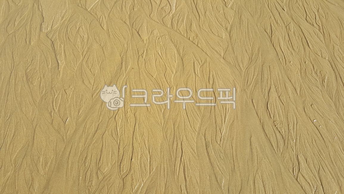 wood,조직,자영이만든작품,모래,자연의걸작,물길