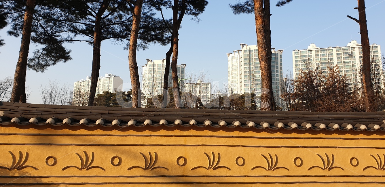 담장,담,한옥,구옥,옛날집