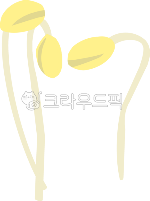 Bean sprouts,plants,observation diary,growing,ingredients,vegetables,greens,food,ingredients,food,local food,organic,groceries