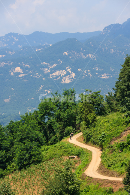 시골풍경,농촌,여름,환경,날씨,나무,구름,풍경,경치,자연,풍경,nature,landscape,outdoors,옥외