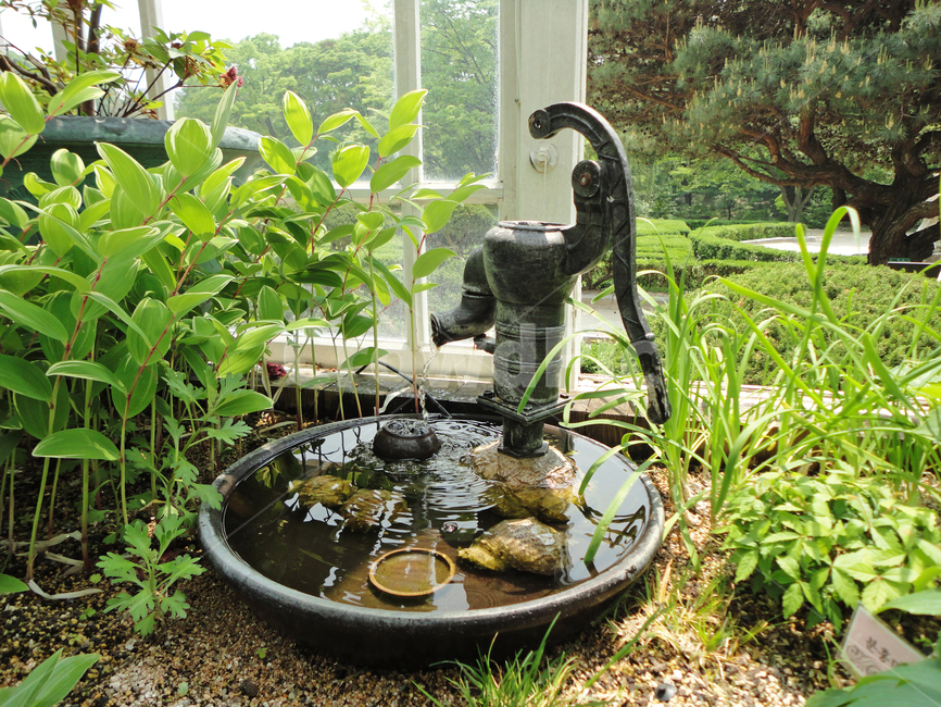 창경궁,식물원,펌프,식물,pump,plant,초록색,자연,물,water