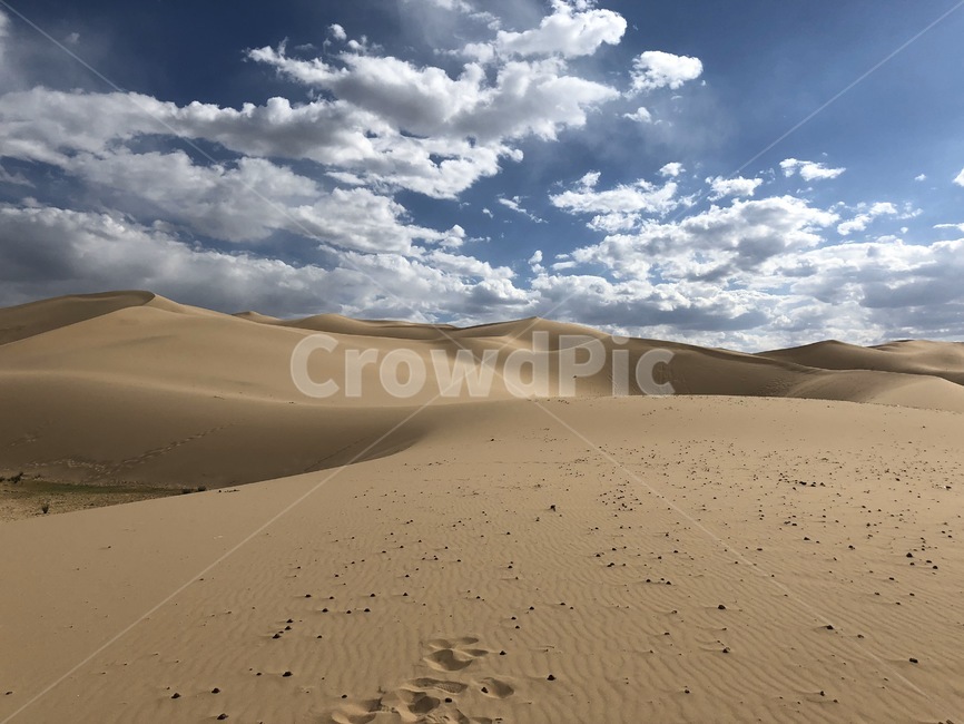 몽골,사막,soil,흙,nature,자연,sand,모래,모래언덕,dune,옥외,outdoors,자연,풍경,nature,landscape,모래 언덕