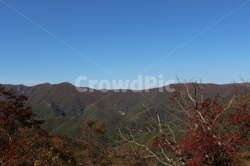 nature,자연,outdoors,옥외,단풍,여행,힐링,자연경관,즐거움,맑은날씨,깨끗함,편안함,치유,자연,풍경,nature,landscape