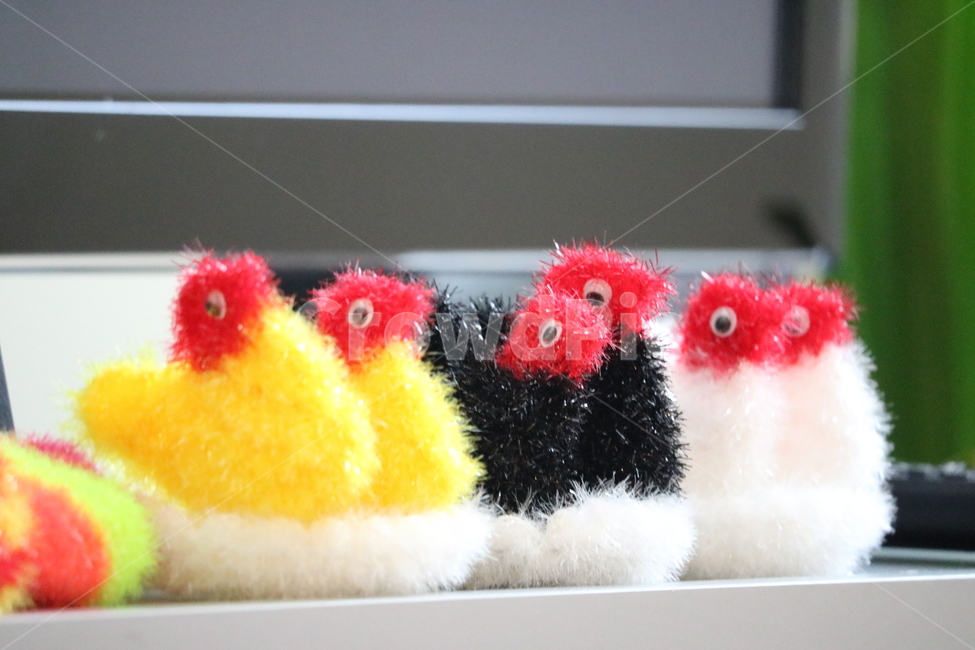 수세미,새,bird,설거지,색