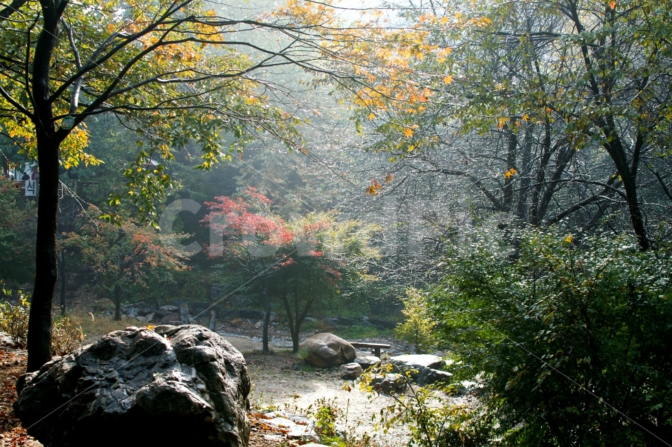 자연풍경,가을비,단풍,소요산,보석,자연,풍경,nature,landscape,가을,계절,fall,autumn,season,tree,나무,plant,식물
