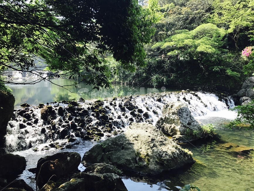 water,물,식물,자연,outdoors,자연,풍경,nature,landscape,plant,옥외